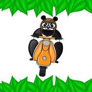 Panda in helmet goes on scooter leaves frame