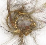 Digital Fractal on Black N1936