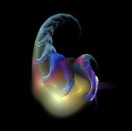 Digital Fractal on Black N1942