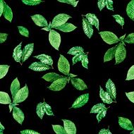 Leaves Pattern N15