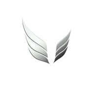 vector 3d abstract wing flying logo for company N3