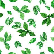 Leaves Pattern N16