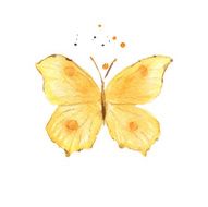 Yellow butterfly isolated on white watercolor