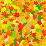 Seamless texture of autumn leaves N3