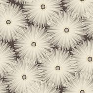 Seamless pattern Floral stylish background N4