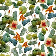 Nasturtium pattern N2