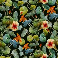 Nasturtium pattern N3