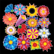 Colorful flower vectors