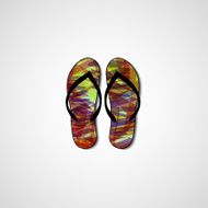 Abstract illustration on flip flops N48