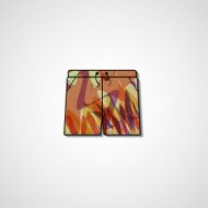 Abstract illustration on shorts N48