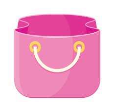 Vector bag Icon N2