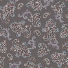 pattern paisley N77
