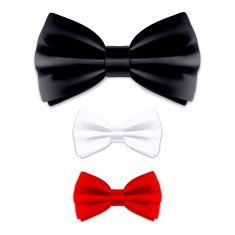 Bow Tie N15