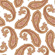 pattern of paisley N3