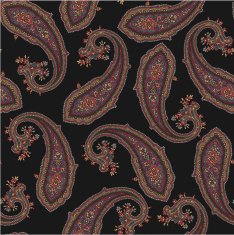 pattern of paisley N4
