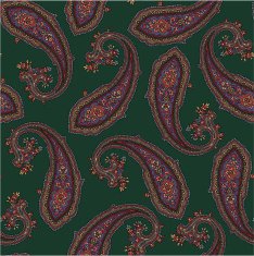 pattern of paisley N5