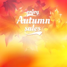 Autumn sale realistic Leaves typography poster