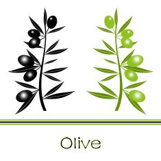 Black and Green Olives Branch