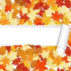 Autumn maple seamless pattern with ripped stripe