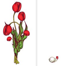 bright colorful background with red spring tulips