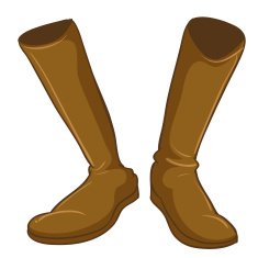 Pair of a fashionable brown boots