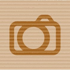 Camera Flat modern web button and space for your text