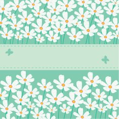 vector floral frame N5