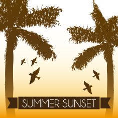 beach design N2