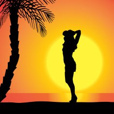 Vector silhouette of a woman N443