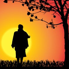 Vector silhouette of a woman N457