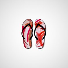 Abstract illustration on flip flops N15