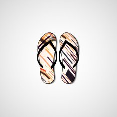 Abstract illustration on flip flops N16