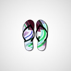 Abstract illustration on flip flops N17