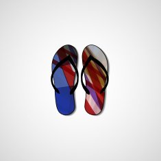 Abstract illustration on flip flops N18