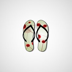 Abstract illustration on flip flops N22