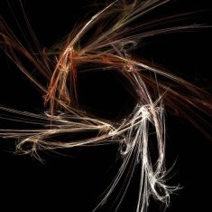 Digital Fractal on Black N1085