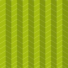 Vector zigzag seamless pattern N9