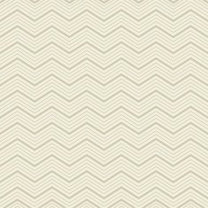 Vector zigzag seamless pattern N12
