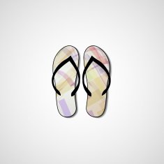 Abstract illustration on flip flops N27