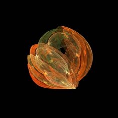 Digital Fractal on Black N1179
