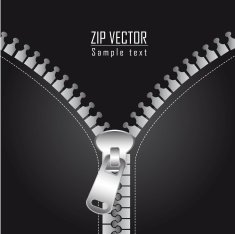 zip vector N2