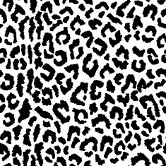 eopard spots
