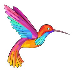 Colorful Colibri Hummingbird Great for company Logo
