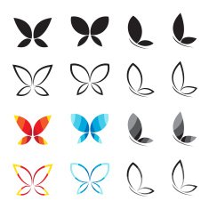 Vector group of butterfly