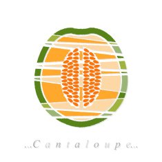 Vector of fruit cantaloupe icon