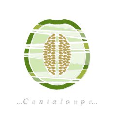 Vector of fruit cantaloupe icon N2
