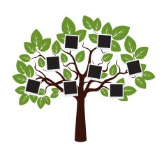 Tree with Green Leafs and Borders Vector Illustration