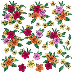 Hibiscus illustration N6