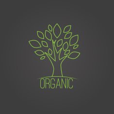 Vector natural organic label in trendy linear style