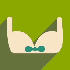 Flat with shadow icon and mobile applacation bra N3